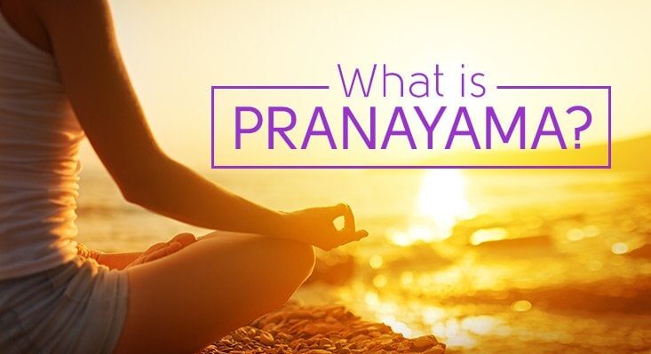 Pranayama Explained Diani Yoga Barn